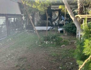 Kafe küle döndü, 97 yaşındaki adam ağır yaralandı