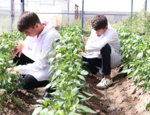 Sürdürülebilir Tarım Eğitimi: Liselerde Yeni Ders
