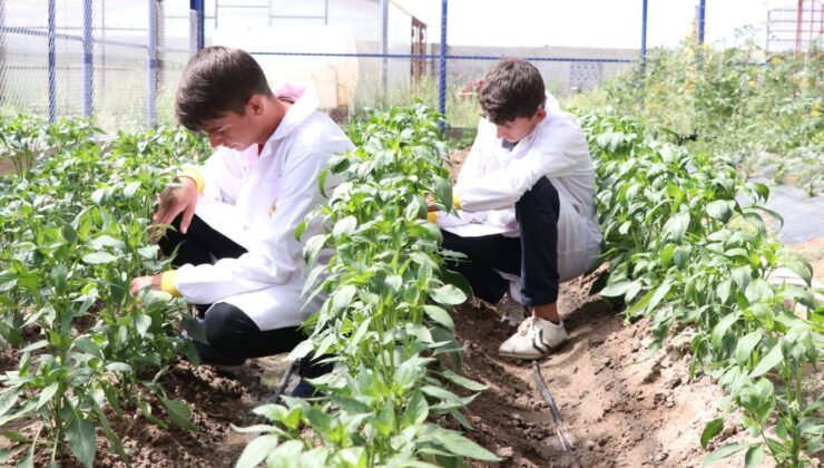 Sürdürülebilir Tarım Eğitimi: Liselerde Yeni Ders