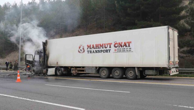 Adana’da otoyolunda mandalina yüklü tırda yangın