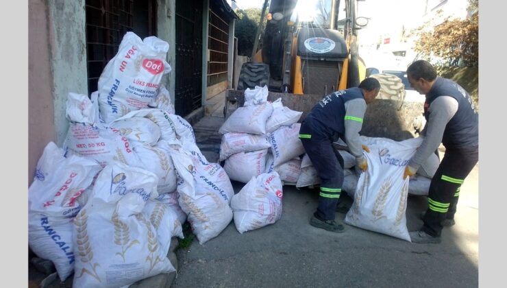 Akdeniz’de temizlik çalışmaları