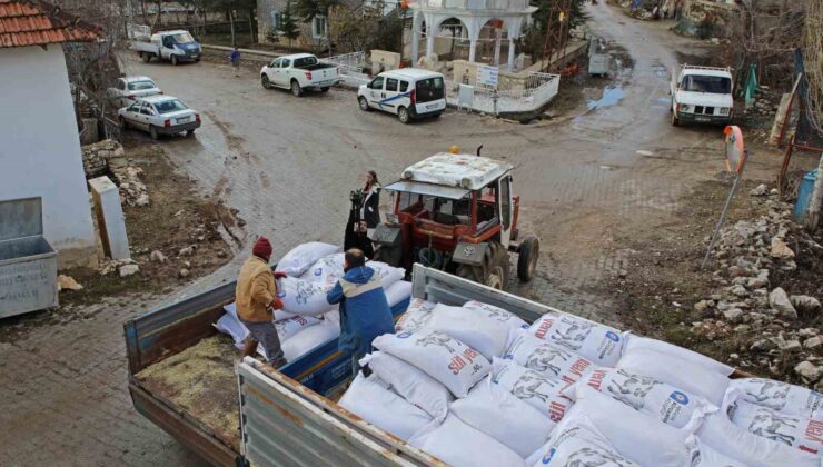 Antalya Büyükşehir’den besicilere,  yüzde 15’i hibeli süt yemi desteği başladı