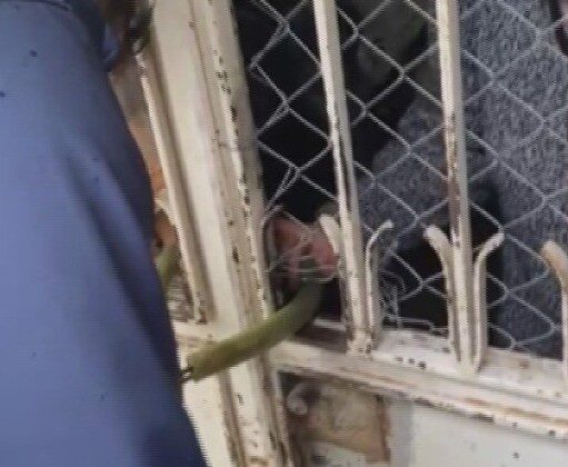 Asma kilidin anahtarın kaybeden yaşlı kadın evinde mahsur kaldı