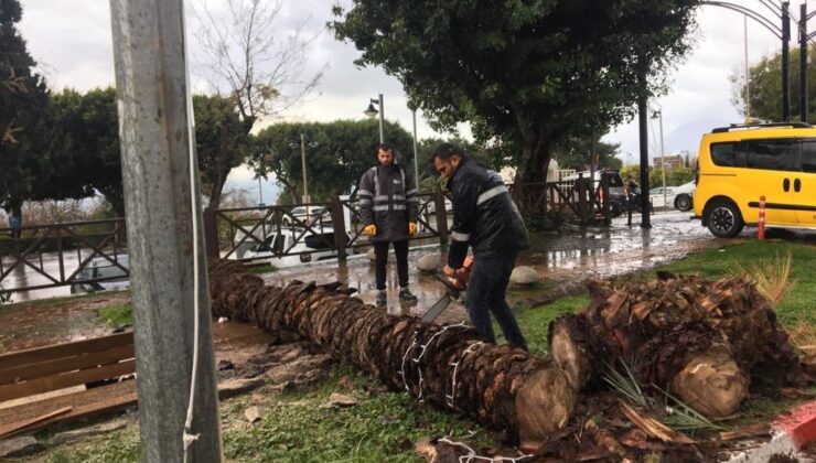 Büyükşehir fırtına için seferber oldu