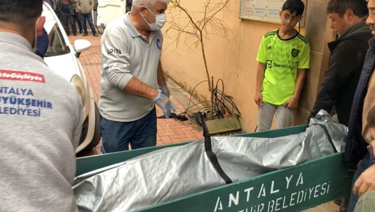 Diş hekimi başından silahla vurulmuş halde ölü bulundu