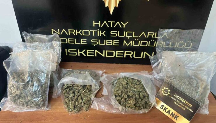 Hatay’da 9 kilo 300 gram skank ele geçirildi