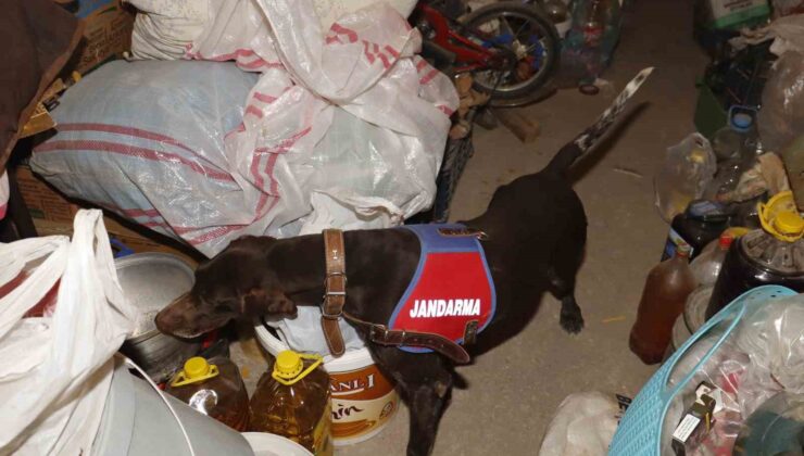 Isparta’da uyuşturucu operasyonuna 5 tutuklama