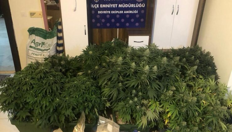 Kaldığı evi uyuşturucu serasına çevirdi