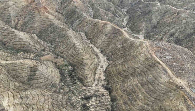 Mersin’de yanan orman sahasında ağaçlandırma çalışmaları tamamlandı