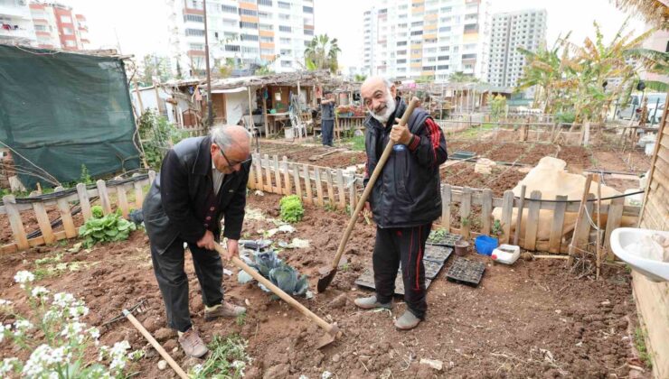 Mezitli’nin ’Hobi Bahçeleri’ne büyük ilgi