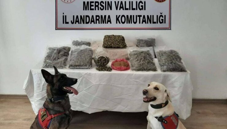 Mikrodalgadan bile uyuşturucu çıktı, 2 şüpheli tutuklandı