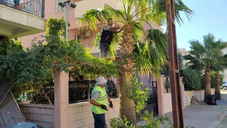 Mut’ta park ve bahçelerin kışlık bakımı devam ediyor