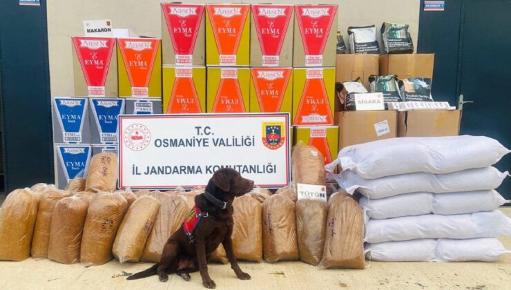 Osmaniye’de 487 kilo kaçak tütün ele geçirildi