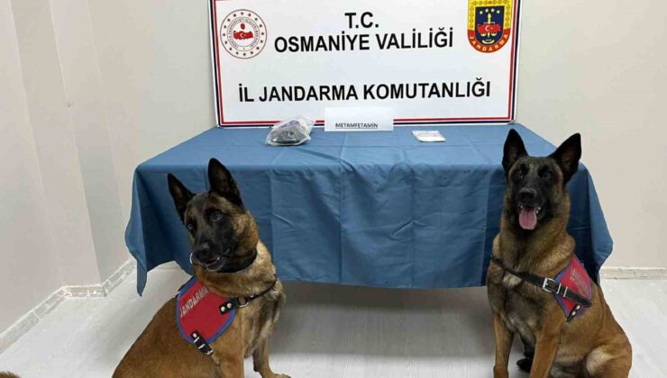 Osmaniye’de jandarmadan uyuşturucu operasyonu