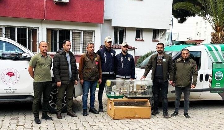 Osmaniye’de yasaklı kuş satan iş yerine 41 bin 817 TL para cezası