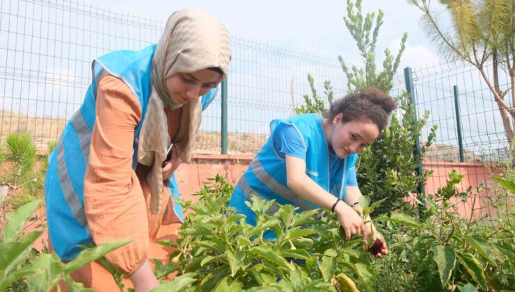 Adana Gençlik Merkezi üretiyor, çocuklar afiyetle yiyor