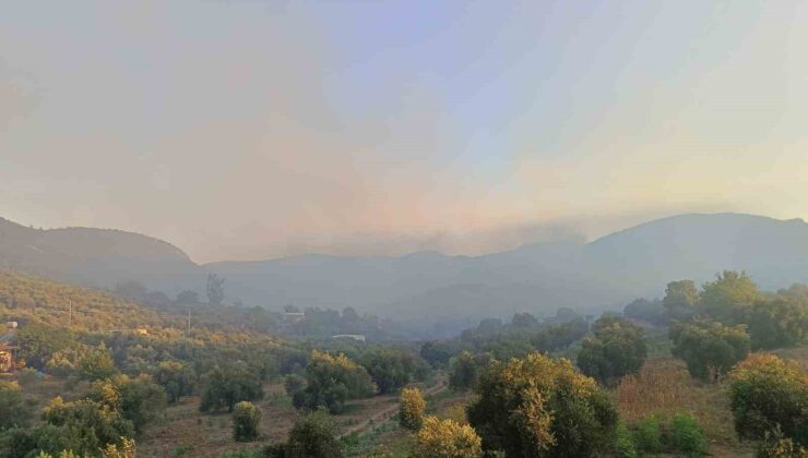 Adana Kozan’da orman yangını