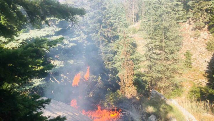 Adana’da ormanlık alanda çıkan yangın kontrol altına alındı