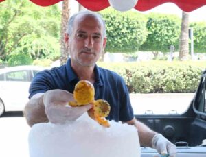 Adana’da vatandaşlar dikenli incir yiyerek serinliyor