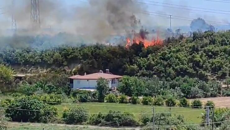Anızlardan makilik alana sıçrayan yangın yerleşim yerlerine ulaşmadan söndürüldü