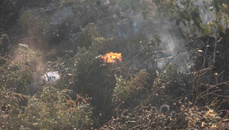 Antakya’da otluk alanda çıkan yangın büyümeden söndürüldü