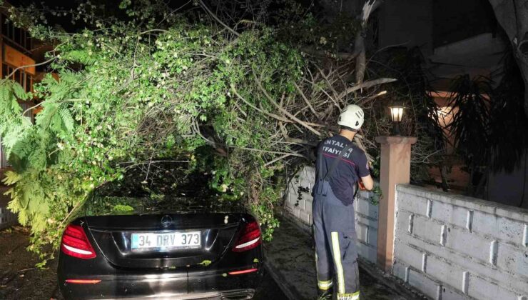 Antalya Büyükşehir’den fırtınaya hızlı müdahale