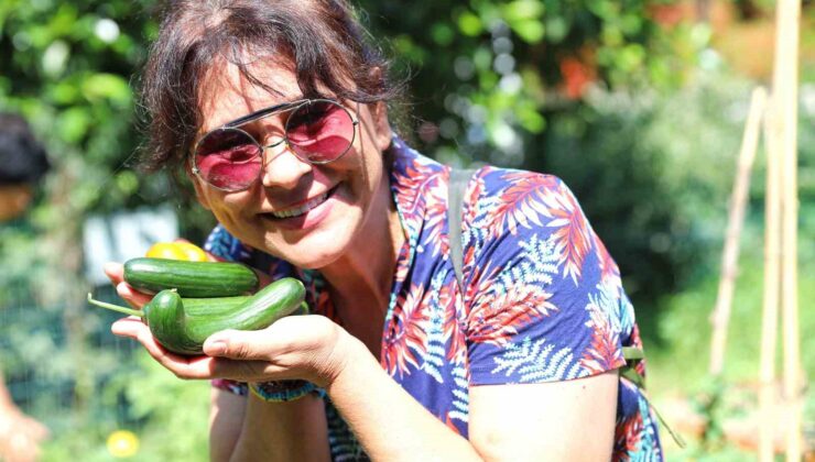 Antalya’da şehir bostanlıklarında ilk hasat gerçekleşti