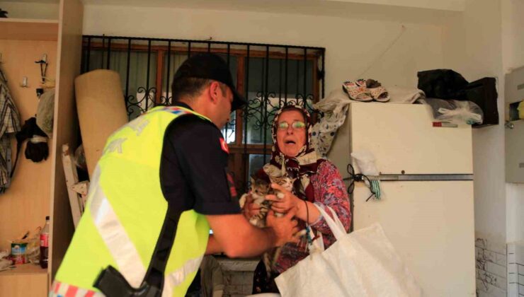 Antalya’daki orman yangınında 7 ev boşaltıldı