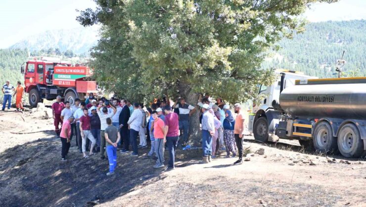 Başkan Kotan, Doyran’daki yangın alanında incelemelerde bulundu