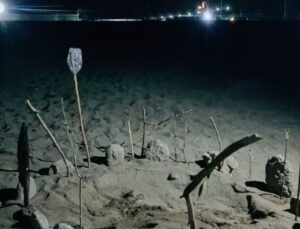 Caretta carettalar Gazipaşa sahiline yumurtalarını bıraktı