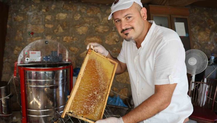 Depremzede arıcının yüzü bereketli geçen erken bal hasadıyla güldü