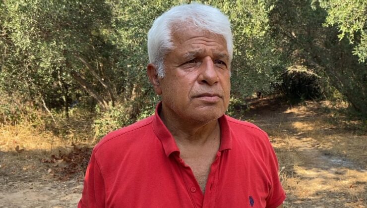 Doğa harikası Yeşilgöl’de beğeni uğruna doğa katliamına Prof. Dr. Gökoğlu’ndan tepki