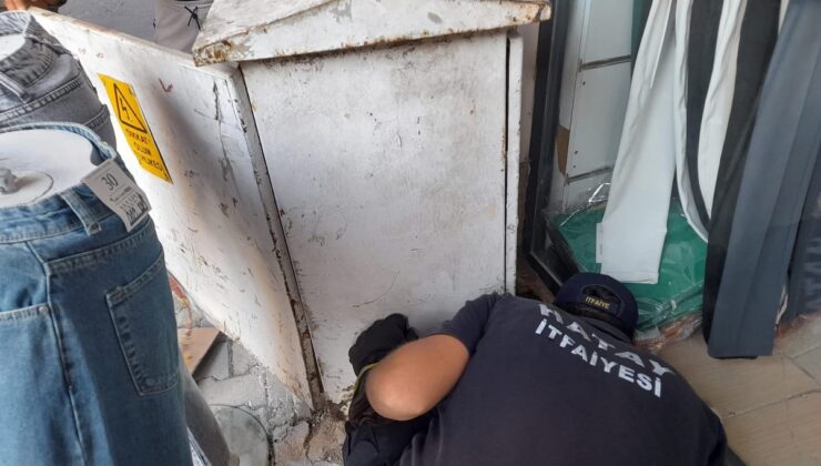 Elektrik panosu içerisinde mahsur kalan yavru kediyi itfaiye kurtardı