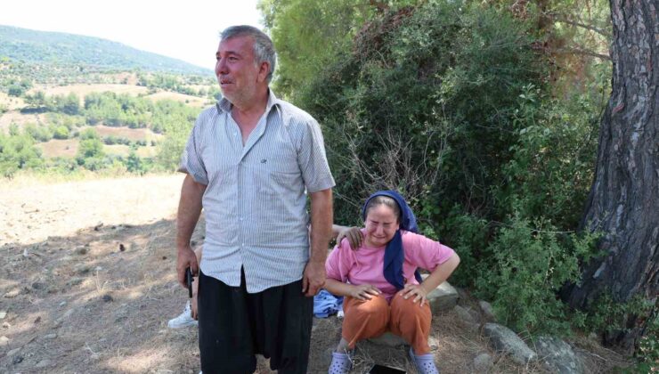 Evi yanan ailenin feryadı yürekleri dağladı, yangını gözyaşları ile izlediler