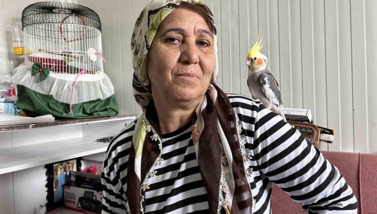 Evladım dediği papağanı günler sonra bulunan kadının göz yaşları yürekleri ısıttı