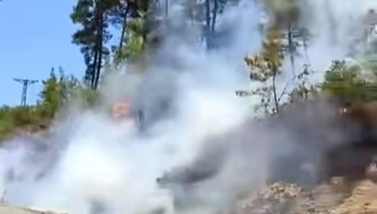 Gazipaşa’da ormanlık alanda çıkan yangın büyümeden söndürüldü