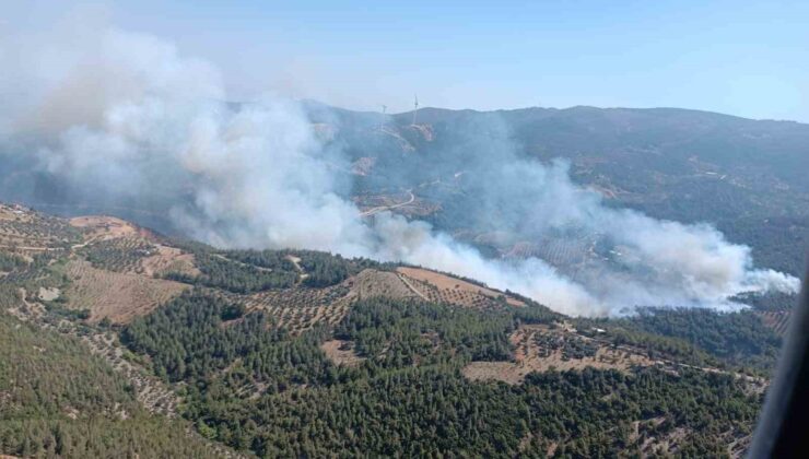 Hatay’da orman yangını
