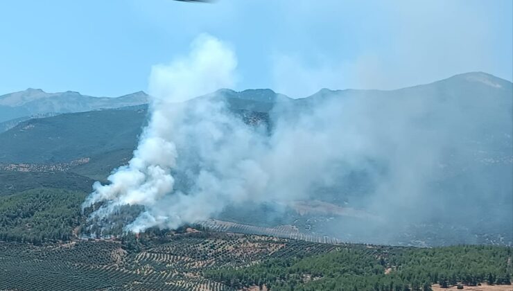Hatay’da orman yangını