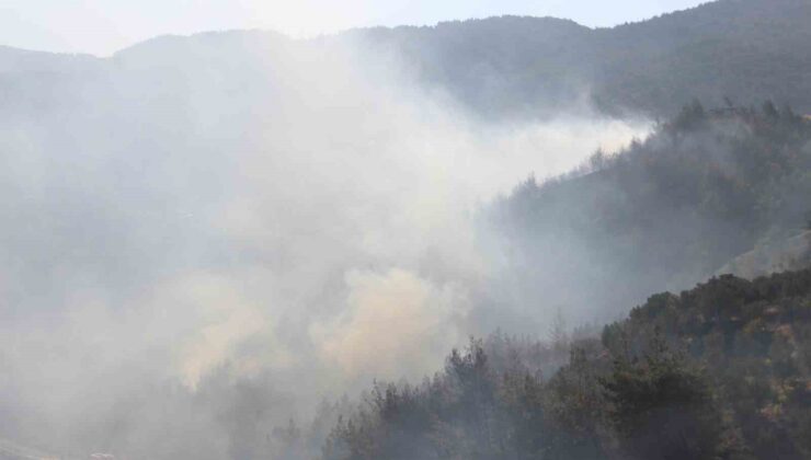 Hatay’daki orman yangını kontrol altına alındı