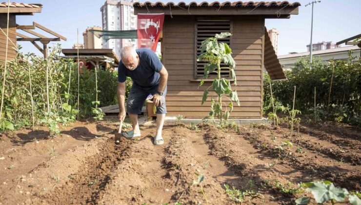 Hobi Parkı, Mersinlilerin uğrak yeri oldu
