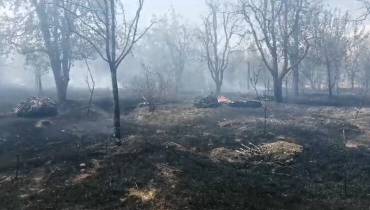 Isparta’da meyve bahçesinde çıkan yangında ağaçlar ve samanlar kül oldu