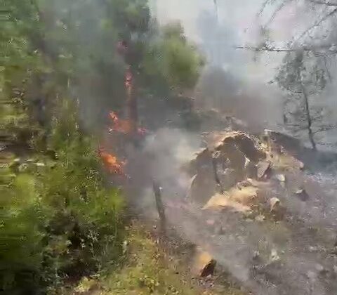Kahramanmaraş’ta orman yangını