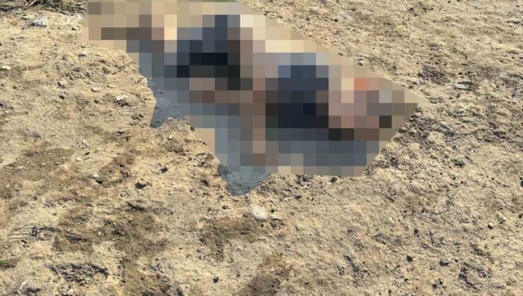 Kanalda çocuk cesedi bulundu