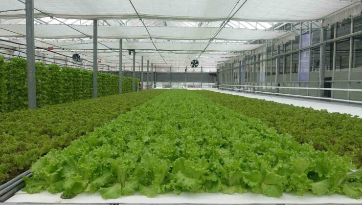 Karataş’ta Tarıma Dayalı İhtisas Organize Sanayi Bölgesi’nin altyapı yapım ihalesi gerçekleştiriliyor