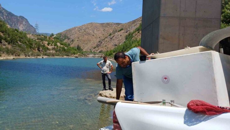 Kozan barajlarına 443 bin sazan yavrusu bırakıldı