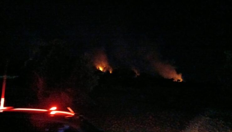 Kozan’da orman yangını