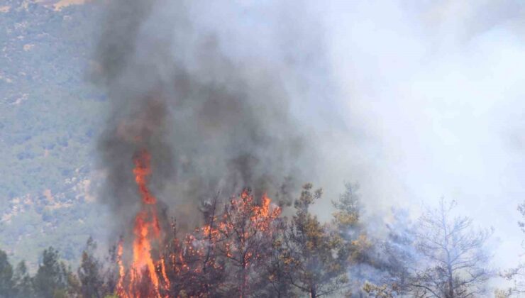 Kozan’daki orman yangınında alevler tekrar yükseliyor