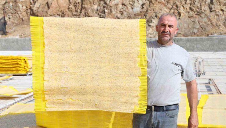 Maraş tarhanası cips yapılıp Avrupa’ya ihraç ediliyor