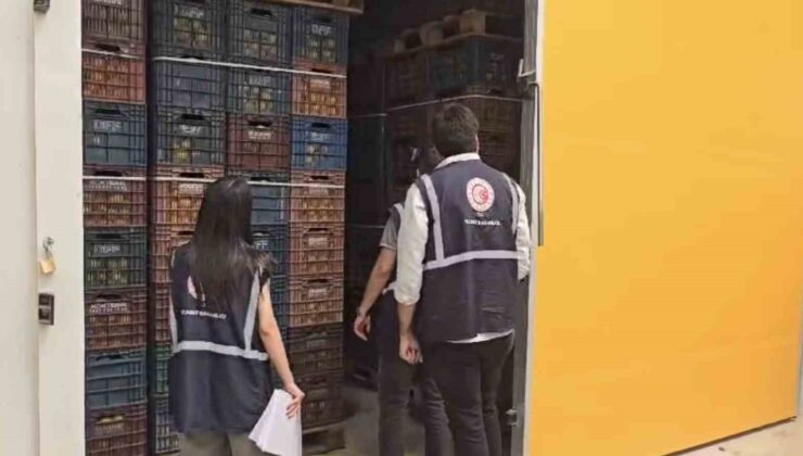 Mersin’de limon depolarında denetimler sürüyor
