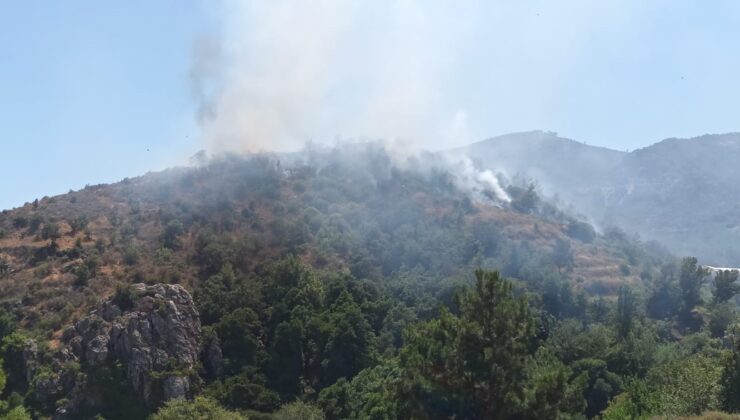 Mersin’de orman yangınına, havadan ve karadan müdahale ediliyor